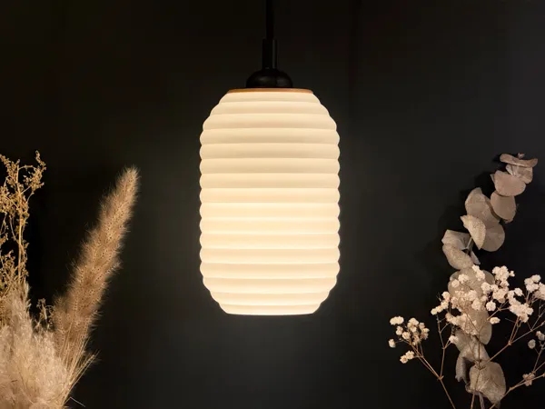 https://makerworld.bblmw.com/makerworld/model/US43e7e4957911bc/design/2025-01-21_8309c553212ec8.jpeg