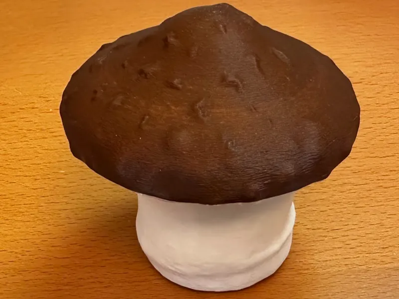 Mushroom Cup Organic Shape