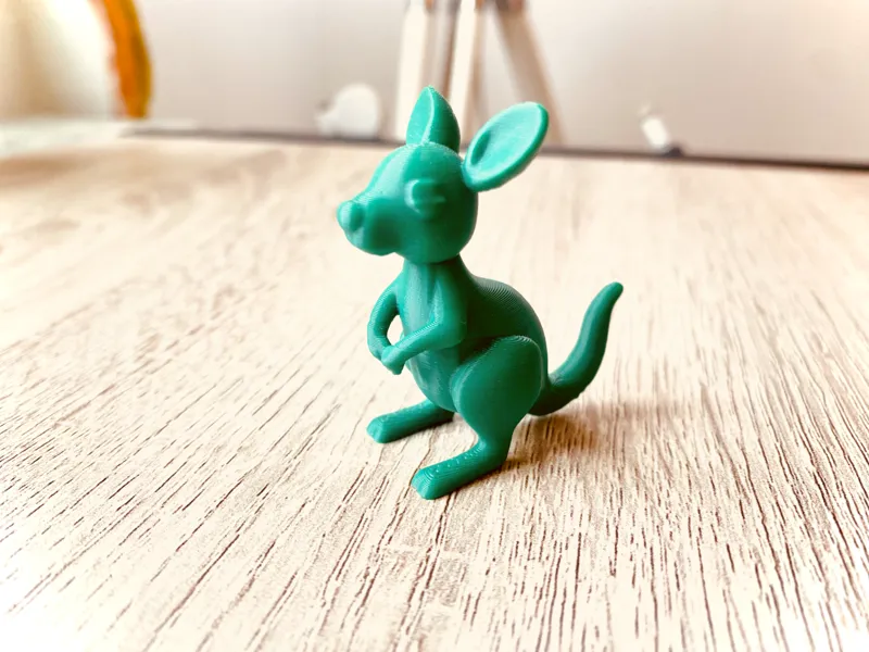 Cute Kangaroo