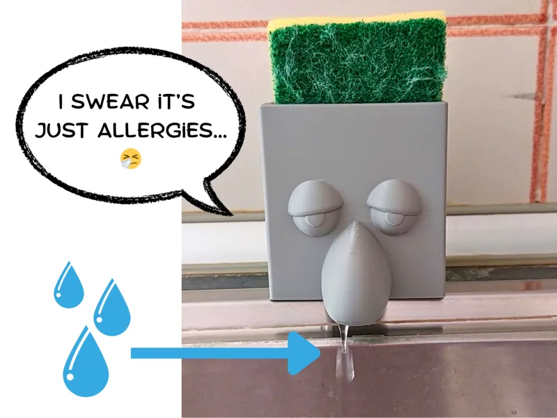 Snottie Sponge Holder - Funny and Functional