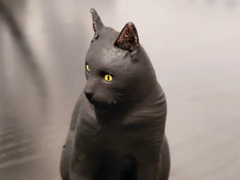 Cat - Neon 