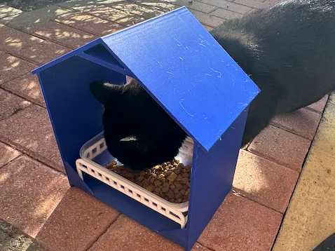 Homeless Cat Shelter - Cat House