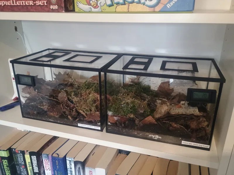 Frame for fish tank / isopod terra