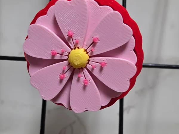 https://makerworld.bblmw.com/makerworld/model/US441192d0409f5b/design/2025-09-12_f15be5e1e42428.jpg