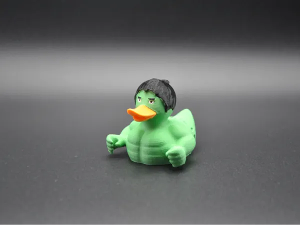 https://makerworld.bblmw.com/makerworld/model/US44151e3e2ee219/design/2025-01-02_039c1643391db.jpg