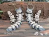 Arctic Wolf LT - All in One