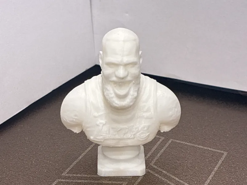 LeBron Bust