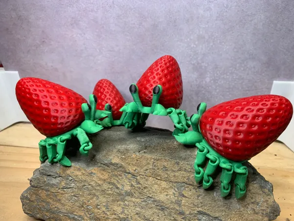 https://makerworld.bblmw.com/makerworld/model/US4421034b972a8c/design/2025-02-16_71e32bef56e3c.jpg