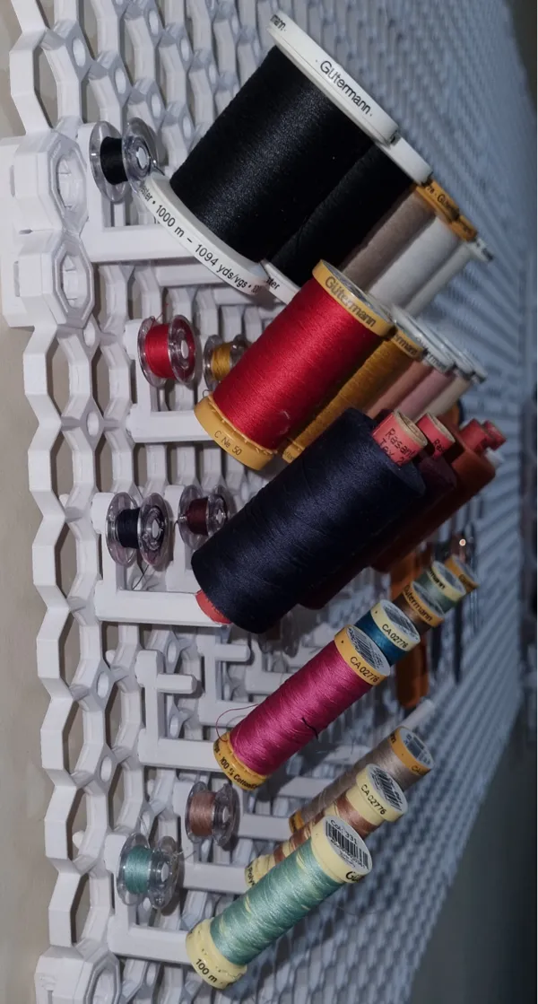 https://makerworld.bblmw.com/makerworld/model/US4430f01f47c967/design/2024-11-03_6960c9308a5c2.jpg