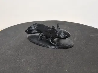 Axolotl