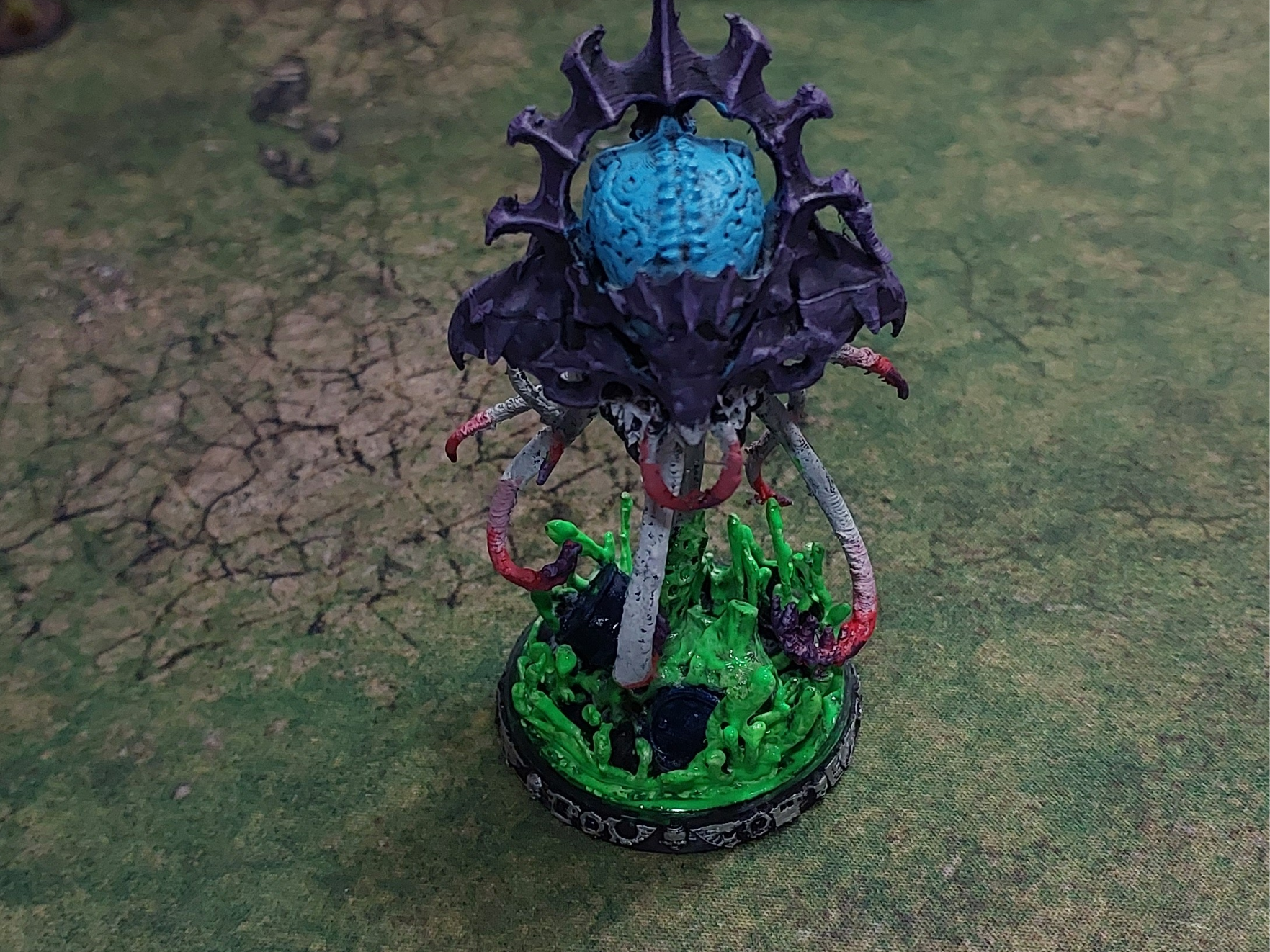 Big Brain Squid 3D model by DazzD999
