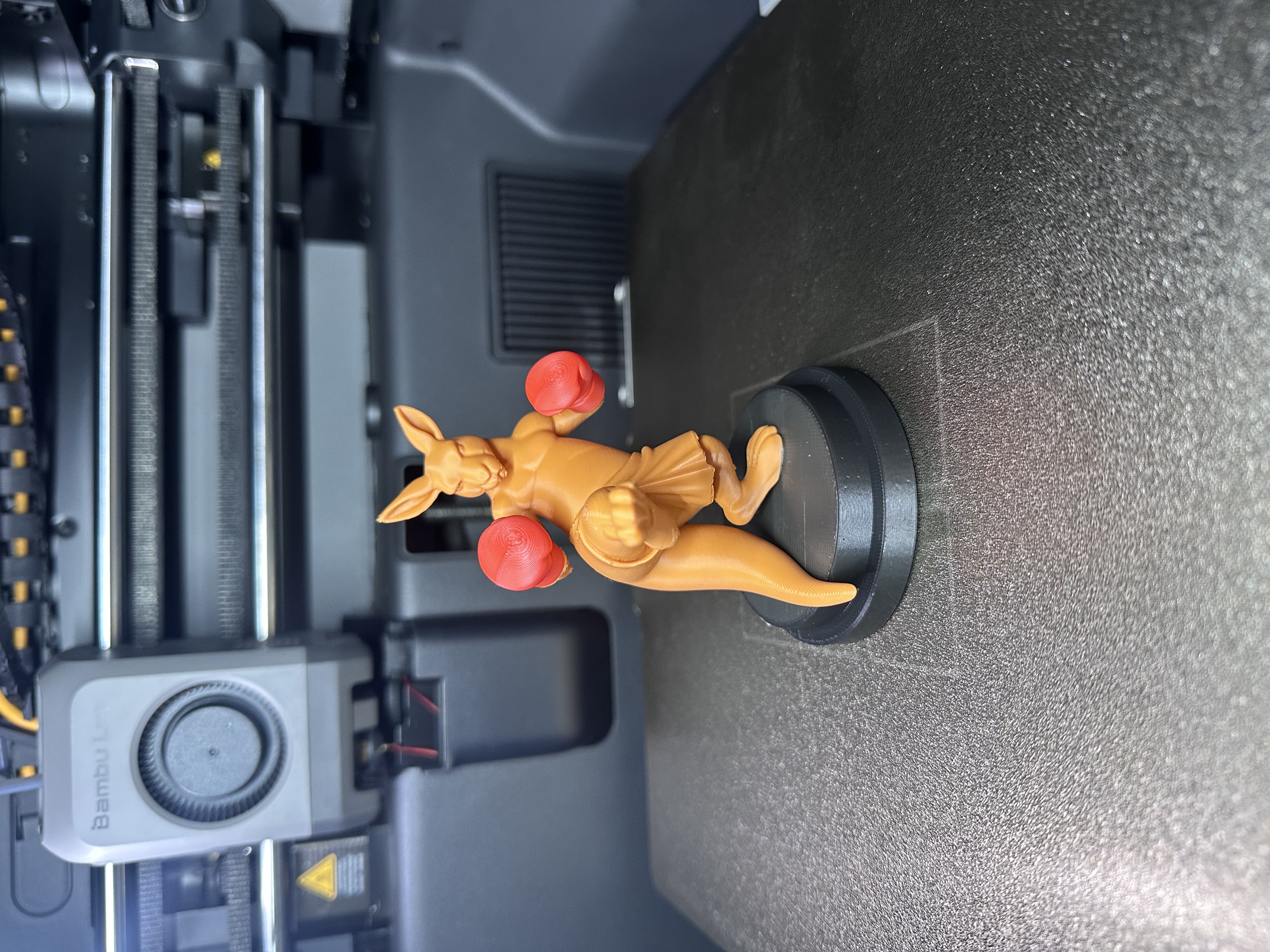 Miniatura 2 do modelo 3D Boxing Kangaroo