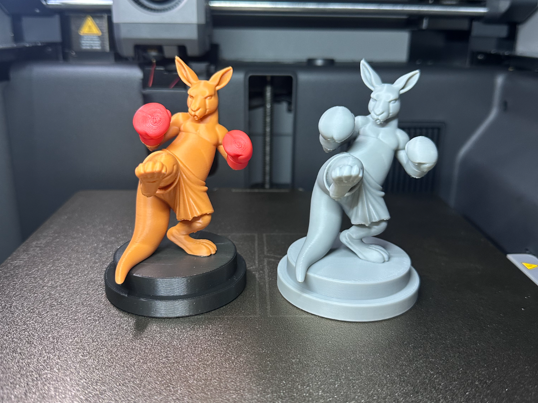 Boxing Kangaroo
