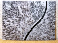 README!, NO AMS, 0.12mm layer, 1 walls, 100% infill