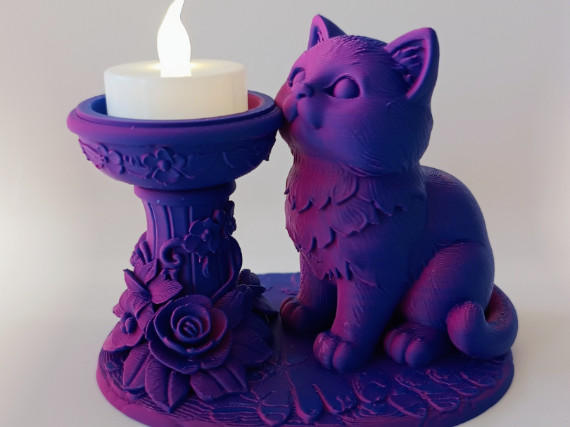 Rosenkatze Lichtzauber