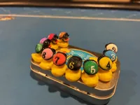 Duck racers and jockey helmets