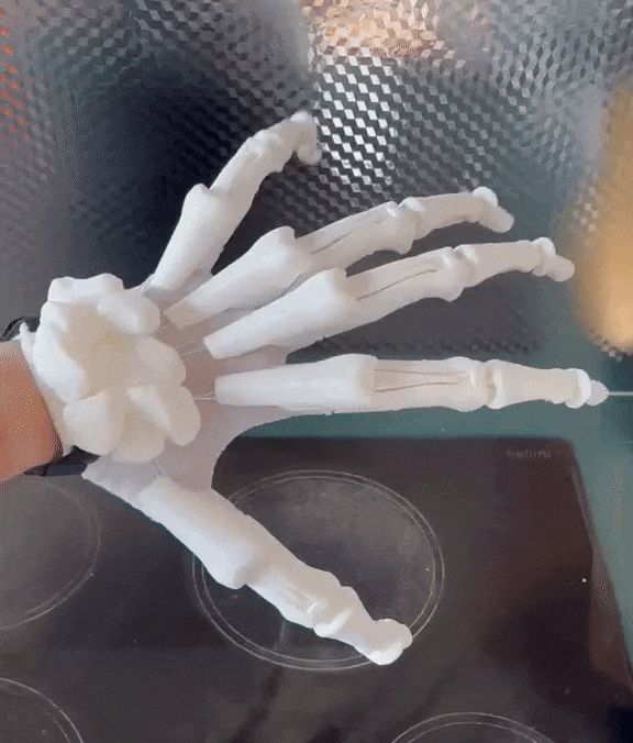https://makerworld.bblmw.com/makerworld/model/US443c7e480ed966/design/2024-11-25_1a1dbb42df9a7.gif