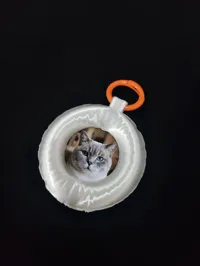 挂饰款