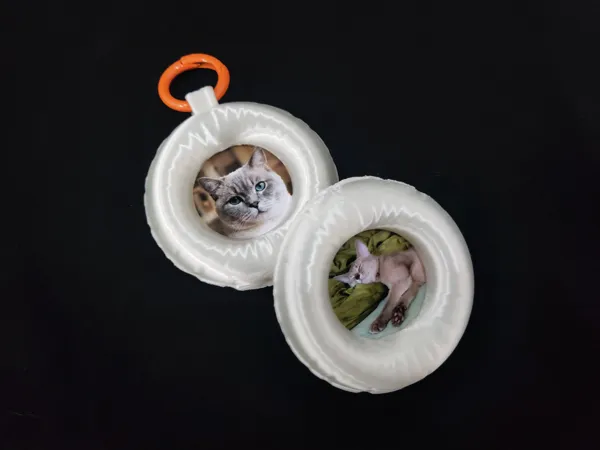 https://makerworld.bblmw.com/makerworld/model/US443d6e607be986/design/449b9f40f1d5b83d.jpg