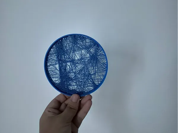 https://makerworld.bblmw.com/makerworld/model/US443f8241c0473c/design/2024-07-16_8f498c2e93dad.jpg