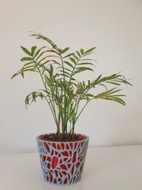 0.2mm layer, 2 walls, 15% infill, first plate: spiral vase,