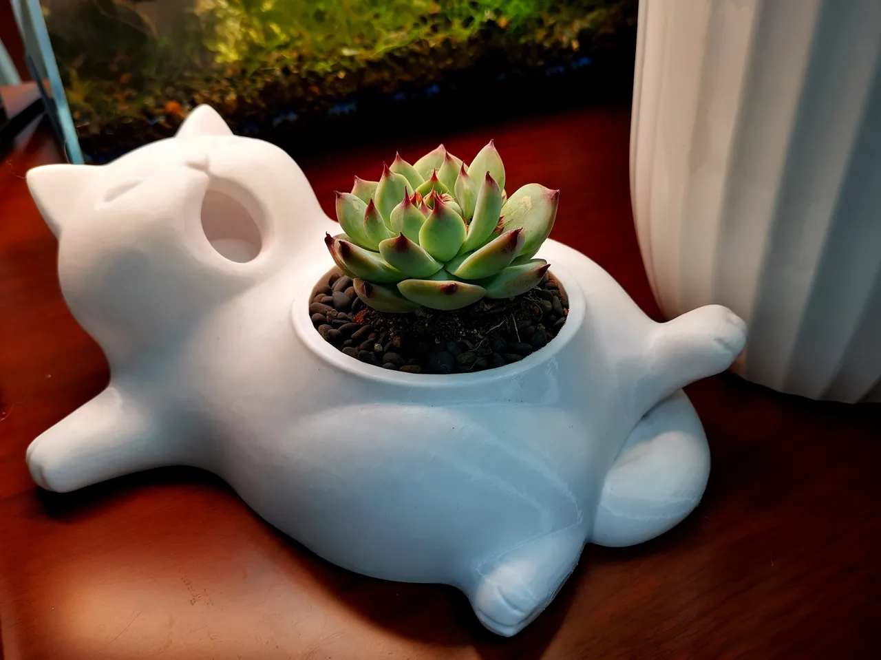 可爱的哈欠猫咪多肉植物种植花盆 view 2