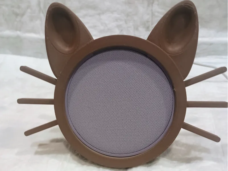 Kitten Echo Pop Case