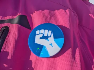 Mn Resistance Pin/Disc