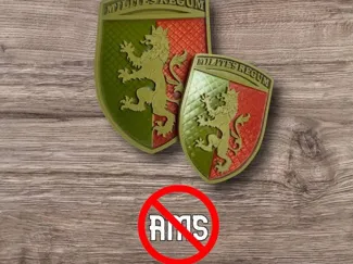 3D шеврон 24 ОМБр "Milites Regum"