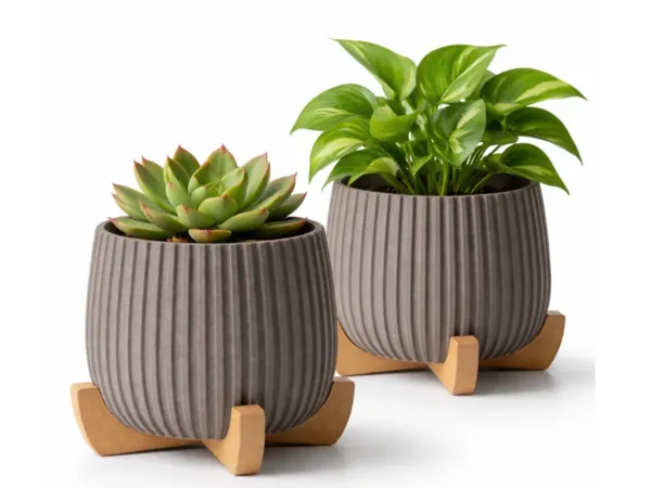 https://makerworld.bblmw.com/makerworld/model/US44527891e89d9d/design/3c3551ddaedb1740.jpeg
