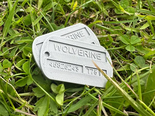 https://makerworld.bblmw.com/makerworld/model/US446184a81cb9cd/design/2025-06-07_054853393a8e18.jpeg