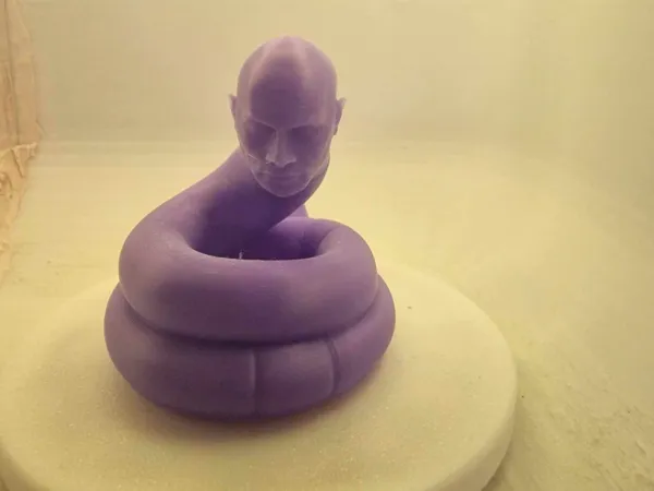 https://makerworld.bblmw.com/makerworld/model/US4462bb119c06d0/design/2024-12-07_0ebc74100d031.jpg