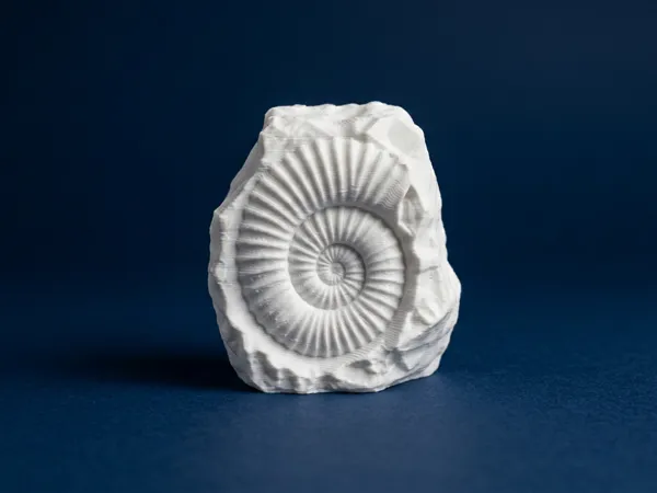 https://makerworld.bblmw.com/makerworld/model/US4467273410c65/design/653702b5c3d9bc5f.png