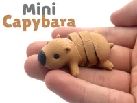 Mini Articulated Capybara
