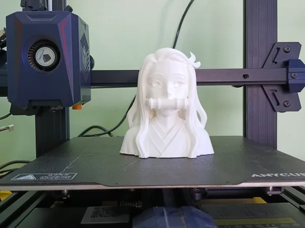 https://makerworld.bblmw.com/makerworld/model/US4473ccfa122660/design/eb3e908199770fe9.jpg