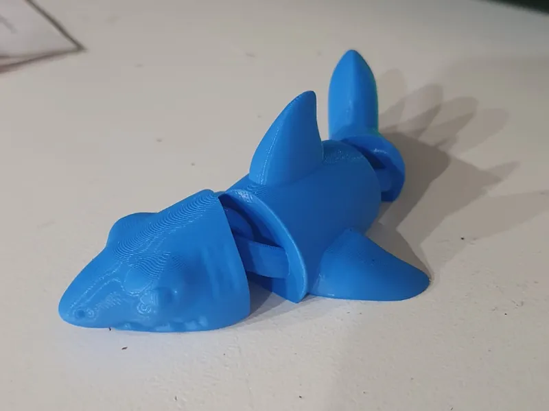 Articulated Shark Print in Place