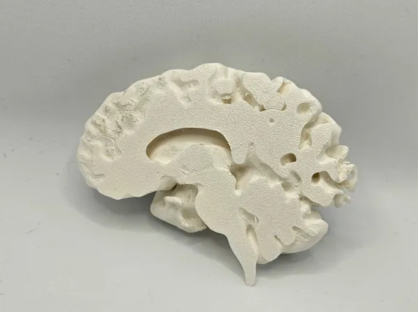 https://makerworld.bblmw.com/makerworld/model/US4476e9175d0dbe/design/2025-02-18_7206ce1a6959f.jpeg