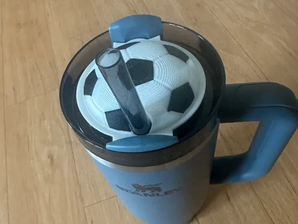 https://makerworld.bblmw.com/makerworld/model/US44790ae4b14e3b/design/2025-06-05_985740ff373b3.jpg