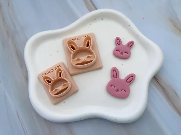 https://makerworld.bblmw.com/makerworld/model/US447963d89883b2/design/ee3370c2cb87be56.jpeg