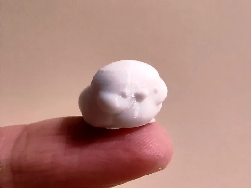 tiny baby penguin