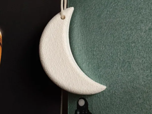 https://makerworld.bblmw.com/makerworld/model/US447bbb9afd74f6/design/2024-11-30_86ee97b783fb4.jpeg