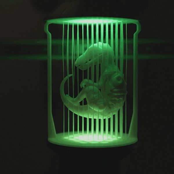 https://makerworld.bblmw.com/makerworld/model/US447c51301506f1/design/2025-07-10_c53428b55715a8.gif