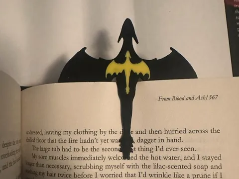 Fourth Wing Inspired Bookmark. Tairn & Andarna