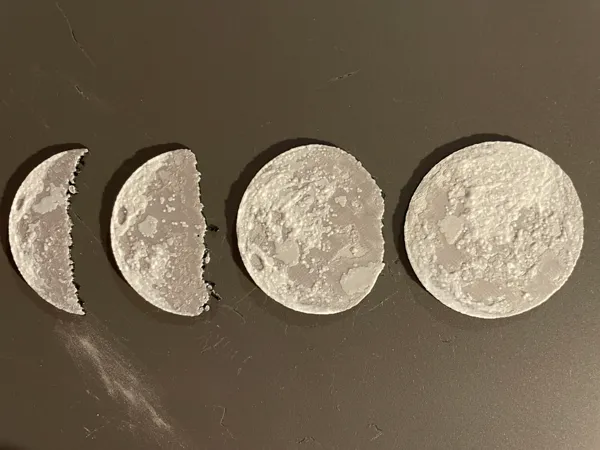 https://makerworld.bblmw.com/makerworld/model/US447f6775d011f0/design/2026-01-02_2f52c3849a81f.png