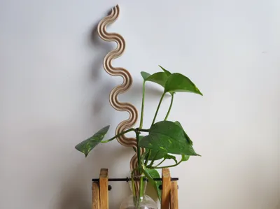 Worm Plant Support