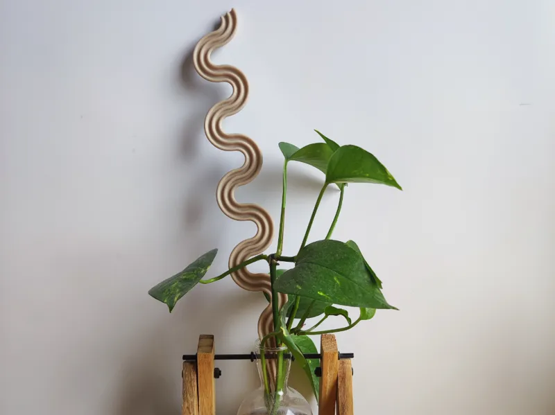 Worm Plant Support