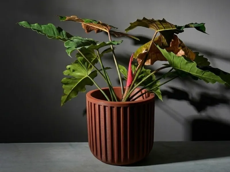 Minimalist Planter