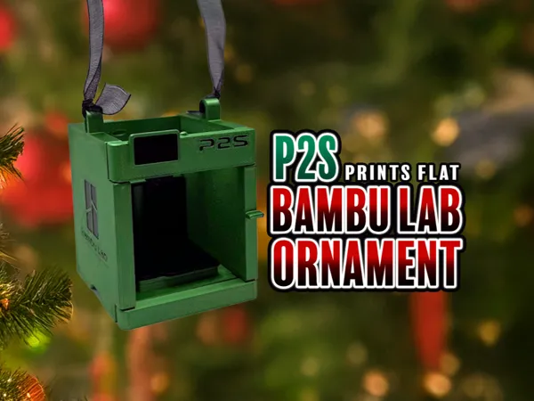 https://makerworld.bblmw.com/makerworld/model/US448398fec8fe77/design/2025-12-24_a8b0921ef0756.png