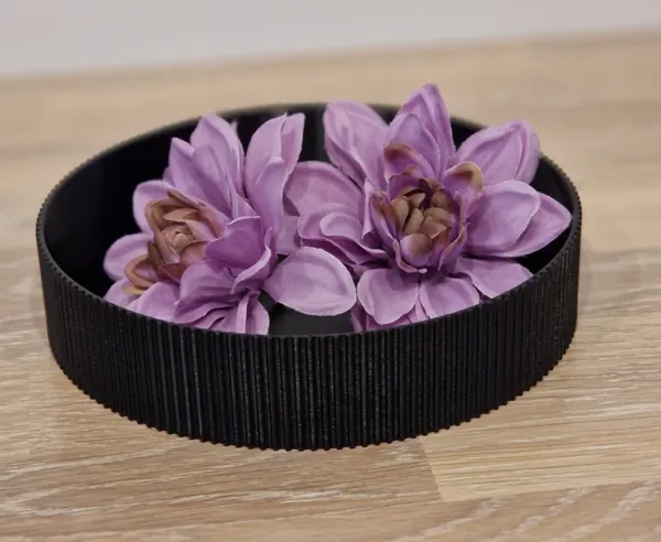 https://makerworld.bblmw.com/makerworld/model/US44876d8f7734/design/2025-01-05_59aed2217ed0b.jpg