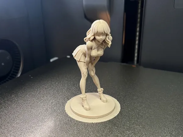 https://makerworld.bblmw.com/makerworld/model/US4487c3138fbe5d/design/0bdf62b2ec128b0a.png